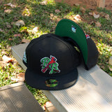 New Era Palm Beach Cardinals Green UV (Black) - New Era