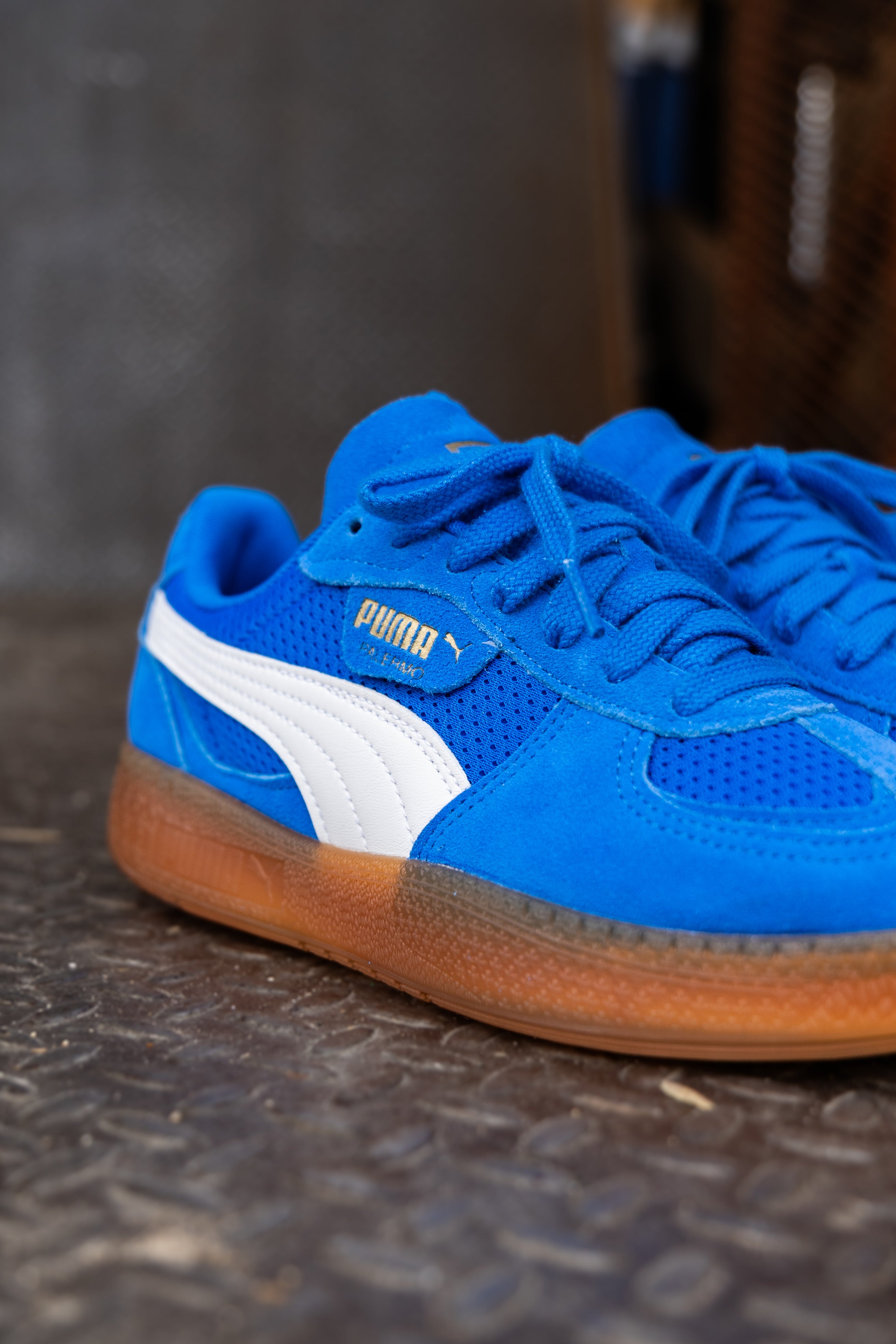 Women's Puma Palermo Moda Vintage (Hyperlink Blue/Gum) - Puma